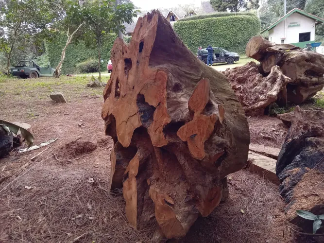 Mesa rústica de madeira maciça