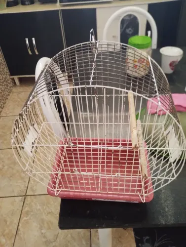 Vendo essa gaiola para periquitos, agaponis etc vendo por 70 reais