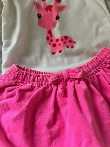 conjunto tam 3 meses lindíssimo saia e bory