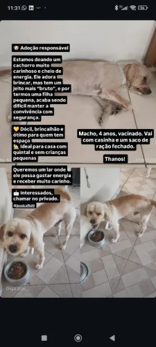 Doação Responsável - Thanos