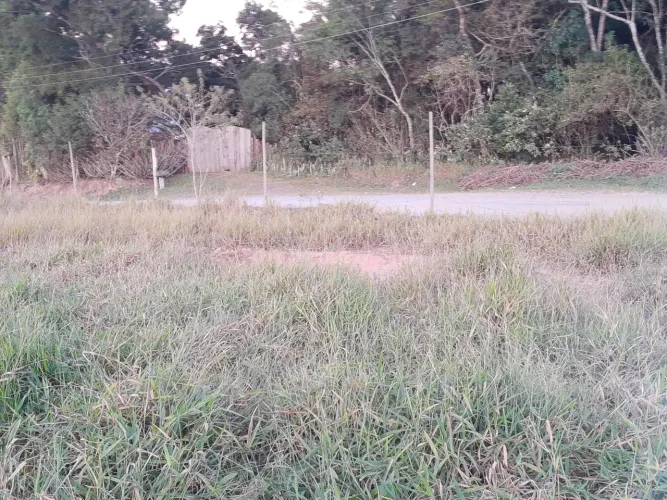 Espetacular Lote de rua - bairro se formando 125 metros limpo sem mata  - km 39 da Raposo 