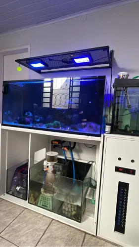 Aquário Marinho 275 L