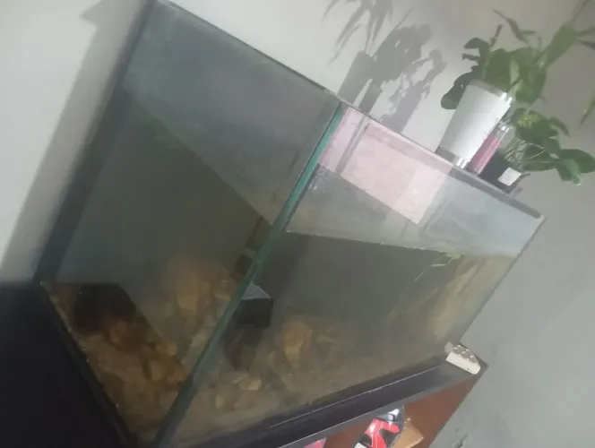 So venda do aquário