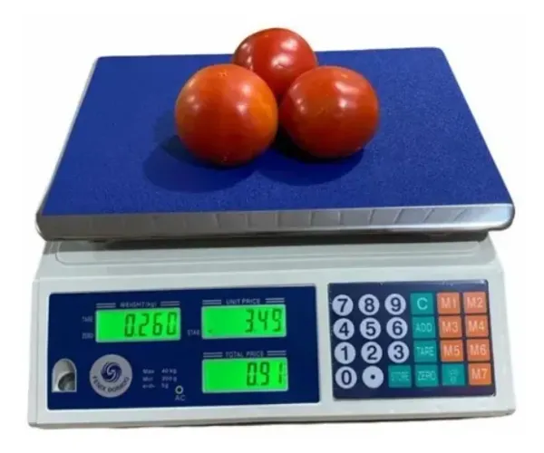 Balança Digital 40 Kg/2g : Nova com bateria e garantia