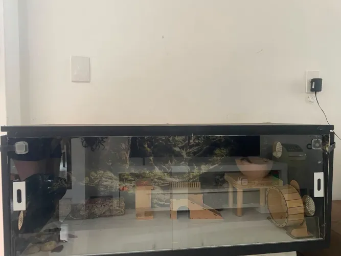 Terrário hamster/Cobra/Aranhas