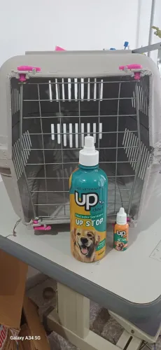 Caixa de transporte para Pet