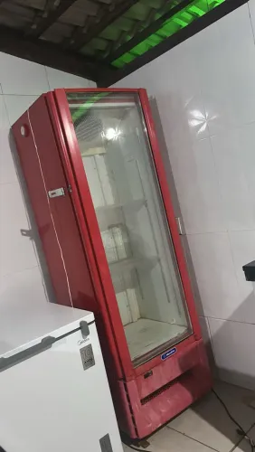 Freezer vertical
