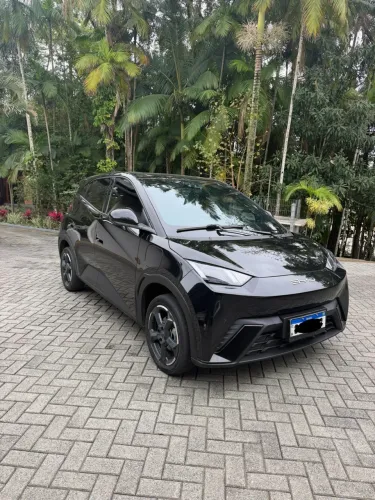 BYD Dolphin Mini (Elétrico) 2024