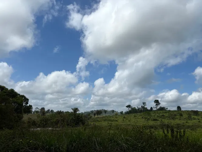 FAZENDA À VENDA - ANAPU/PA