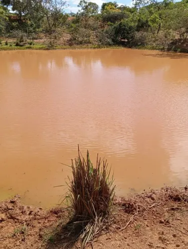 Fazendinha 51 hectares/Saída pirapora/Água de rio...