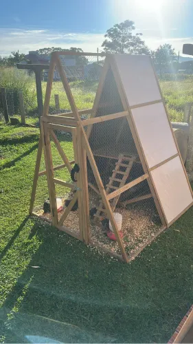 Galinheiro Chalé em Madeira Tratada (1,5m x 1,5m)