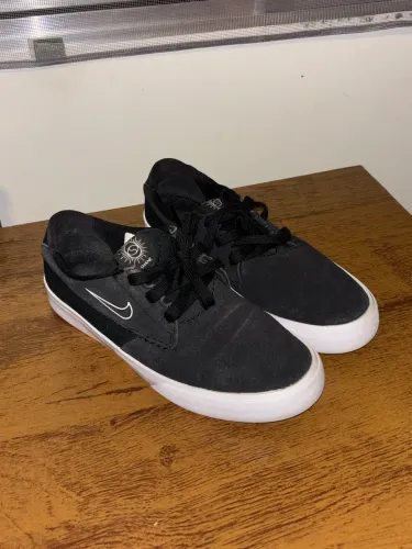 Tênis Nike SB Shane