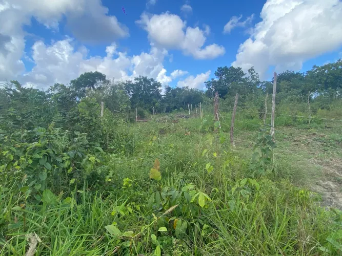 Terreno 