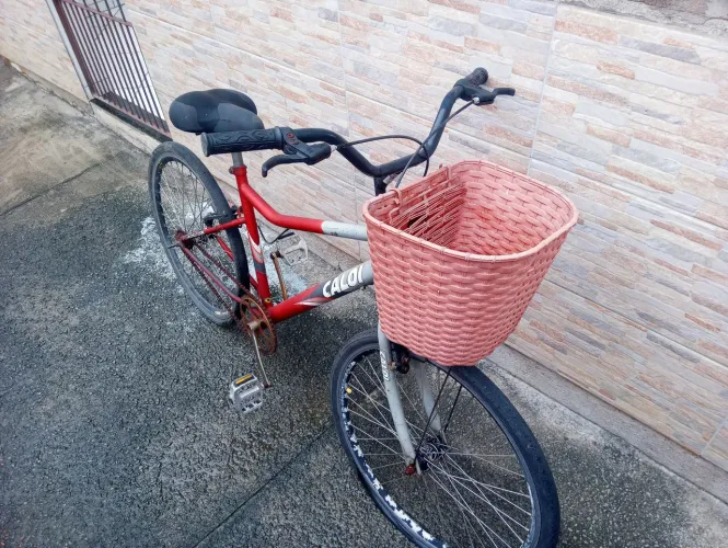 Bicicleta. Parcelo