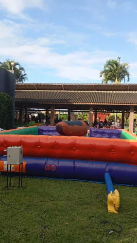 Vendo touro mecânico