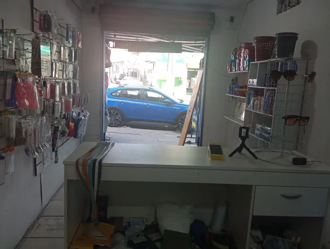 Assistência celular