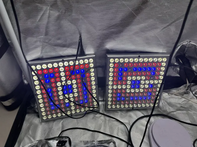 Quantum Board 120W