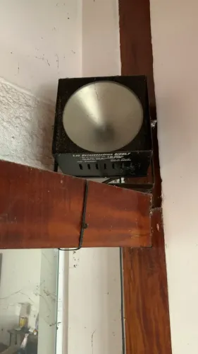 Luz estroboscópica