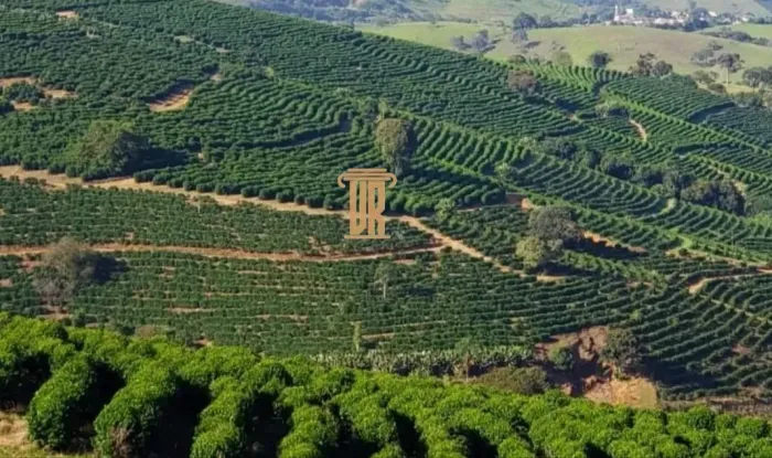 FAZENDA DE CAFÉ COM TORREFAÇÃO À VENDA  PORTEIRA FECHADA  SUL DE MINAS/MG