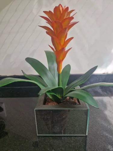 Vaso Bromelia Artificial