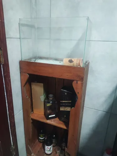 Aquário 