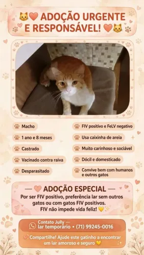 ?-? ? ? ? ? 1 ? ? ? meses