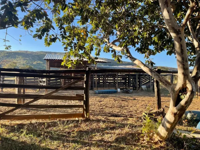 Fazenda 114 hectares valor 1.600.000 em buritis mg