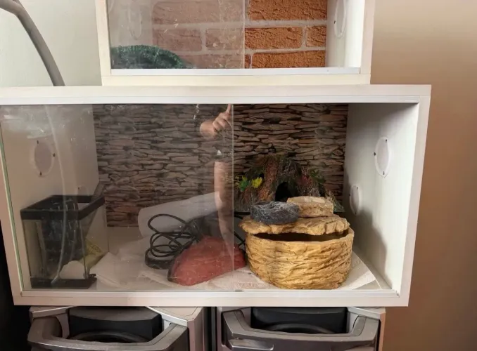 Terrario pet MAIOR