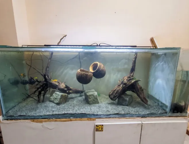 Aquário 495 Litros + SUMP + Troncos e acessórios 