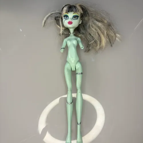 Sucata Boneca Frankie Stein Picture Day Monster High