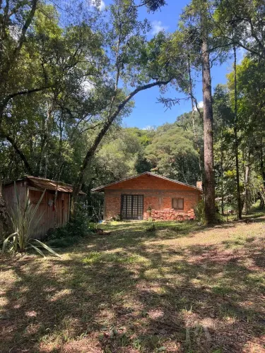 Chácara em Boa Vista - Piên
