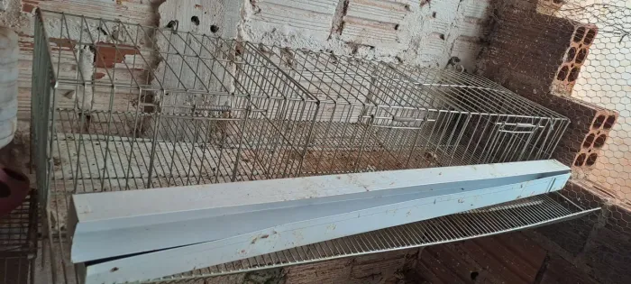 Vende-se gaiolas pra codorna