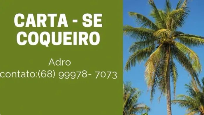 CORTA- SE ÁRVORE