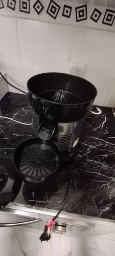 Espremedor de frutas turbo 250w