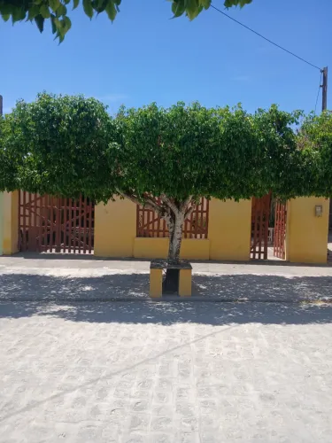 Vende-se casa em Santana do Ipanema