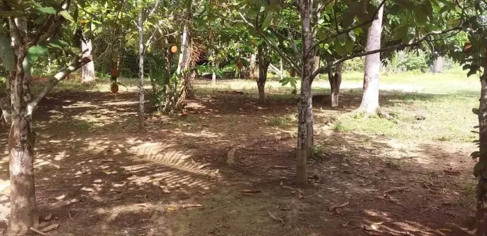 Sítio e chácara  no az3