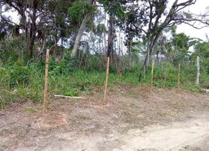 Vende-se terreno no Cururupe, Zona Sul de Ilhéu