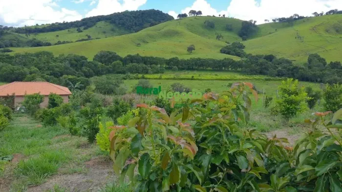 CHÁCARA FORMADA DE FÁCIL ACESSO EM CAMBUI-MG