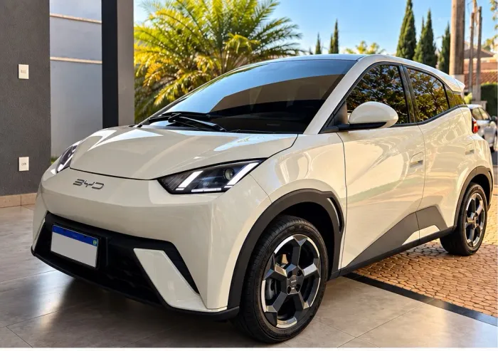 BYD Dolphin Mini (Elétrico) 2024