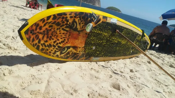 Prancha Stand Up Paddle