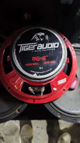 Medio Tiger 8 polegadas