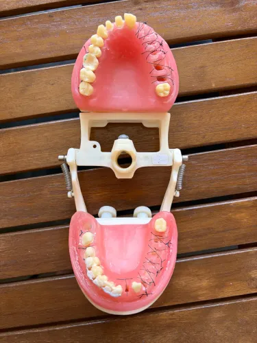 Manequim odontologia
