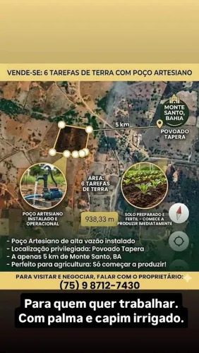 Pequena propriedade rural com poço artesiano de 6 tarefas povoado tapera ms