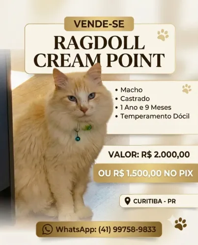 A venda Ragdoll