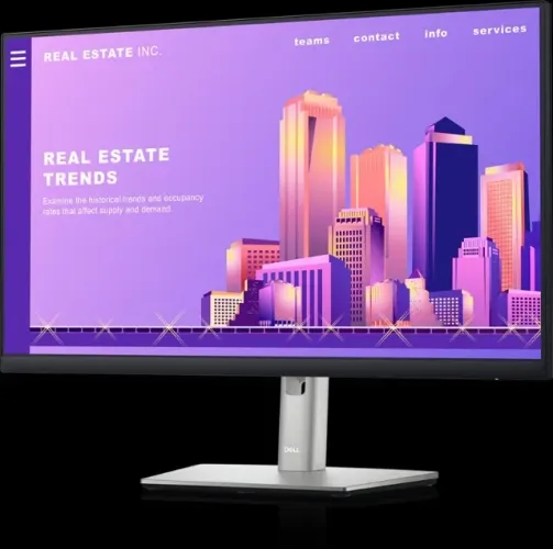 Monitor Dell 24 ? P2422H