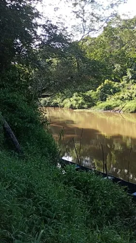 Vendo terreno 7 tarefas 40 mil ou troco em algo do meu interesse tem conversa no valor 
