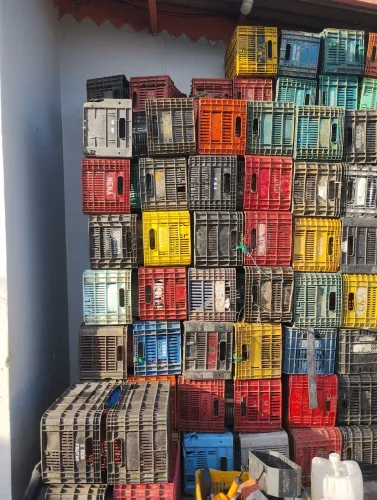 Caixas plástica