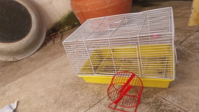Gaiola de hamster com rodinha