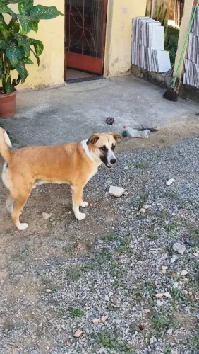 Doação