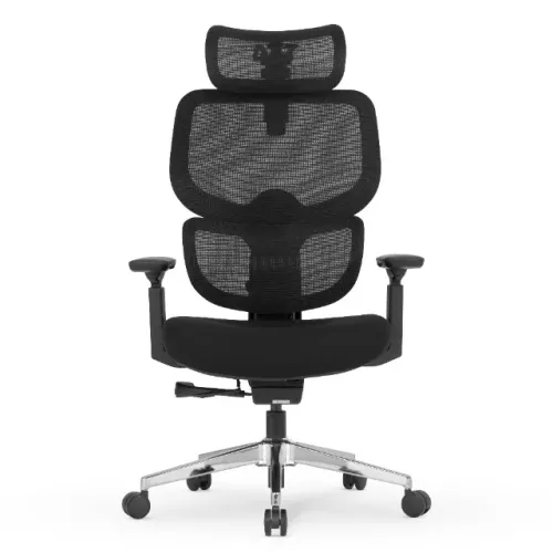 Cadeira DT3 Ergonomie Home Black 5D
